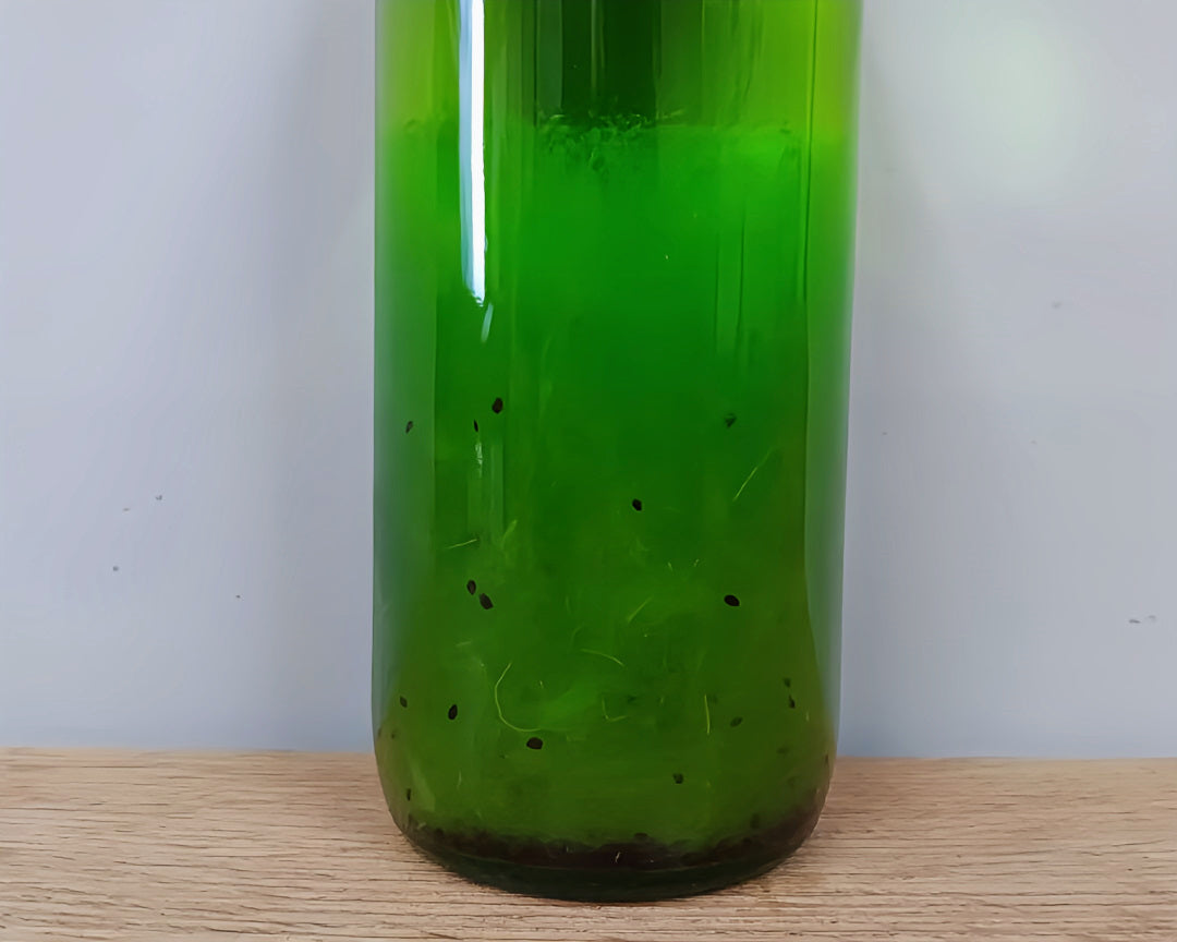 酒幸仁 shukojin 利口酒 鬼おろし 奇異果沙瓦基底酒 キウイサワー