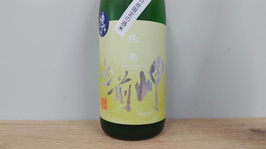 日本酒　越前岬　槽搾り純米　復活米九頭竜　火入れ　1800ml　　【福井県　田辺酒造】